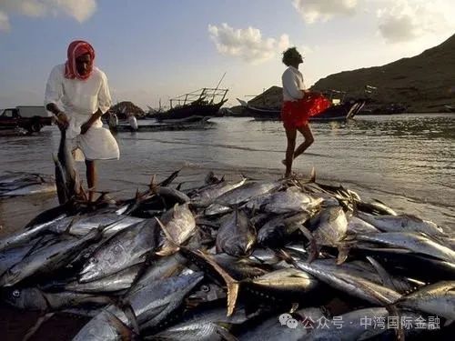 640 (1).jpg 640 (1).jpg